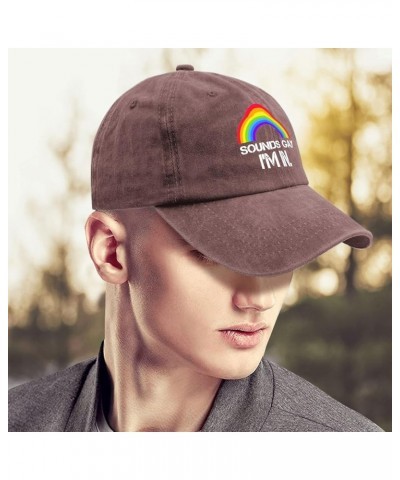 Sounds Gay I'm in Golf Hats, Sounds Gay I'm in Funny Running Cap Gifts for Her Hats,LGBT Funny Summer Cap Wine Red $9.68 Base...