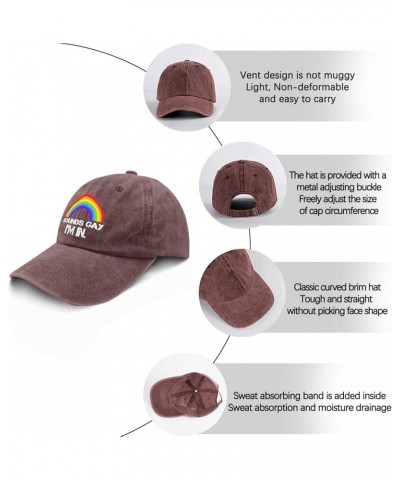 Sounds Gay I'm in Golf Hats, Sounds Gay I'm in Funny Running Cap Gifts for Her Hats,LGBT Funny Summer Cap Wine Red $9.68 Base...