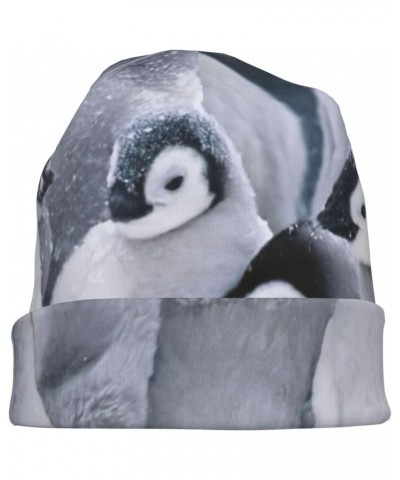 Cute penguin1 Men's Knit Hat â€" Fashion Adult Men's Knit Hat, Cap, Warm & Stylish Headgear with Brim, Ideal for Winter Wear....