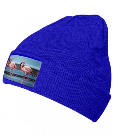 Flamingos On The Beach Velvety Tufted Style,Stretchable Brimless Hat,Knitted Woolen Cap $14.77 Skullies & Beanies