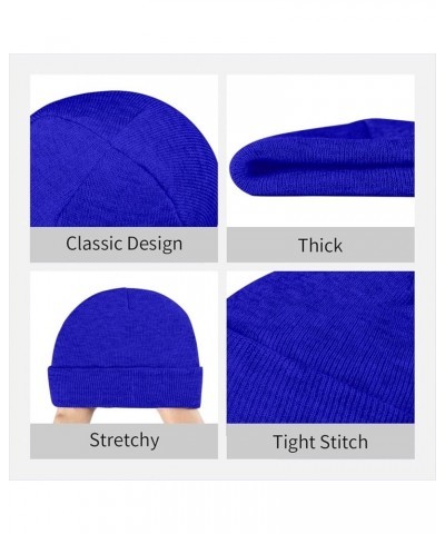 Chinoiserie Ancient Folk Art Winter Hats Thick Knit Cuff Beanie Cap Warm Stocking Beanie Hat for Men Women Blue $12.24 Skulli...