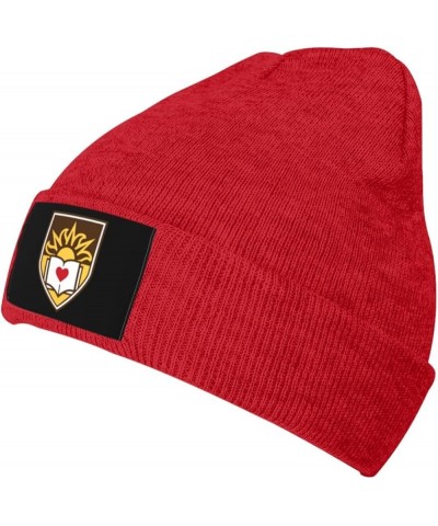 Lehigh University Logo Classic Warm Winter Knit Cap Fleece Lined Beanie Hat Red $11.87 Skullies & Beanies