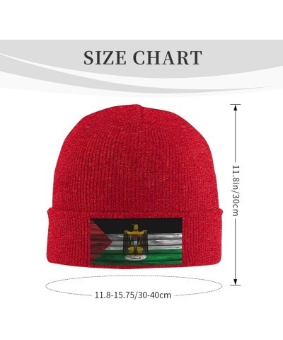 Palestine Flag Winter Warm Knit Hat - Soft, Classic,Stretchy Beanie Cap Black Red $12.27 Skullies & Beanies