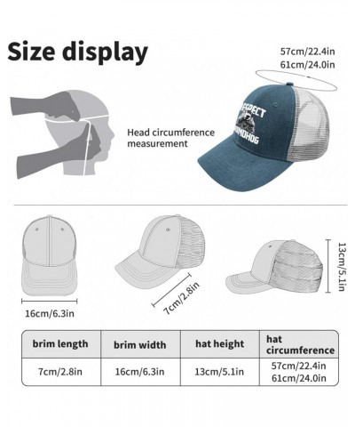 Respect The Groundhog Hats Sports Hat Hats for Men Baseball Cap Gifts for Boyfriends Workout Hats Skyblue $9.44 Sun Hats