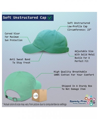 Soft Baseball Cap Hot Air Balloon Embroidery Cotton Dad Hats for Men & Women Mint Design Only $15.89 Baseball Caps