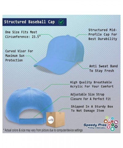 Custom Baseball Cap Pabilsag Mythical Creatures Creature Acrylic Fairy Dad Hats for Men and Women Light Blue Personalized Tex...