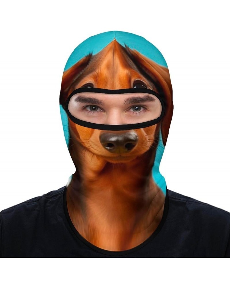 Face Mask Ski Mask Summer Cooling Head Mask Chemistry Lab Sun Protection Neck Gaiter Windproof Face Cover for Outdoor Dachshu...