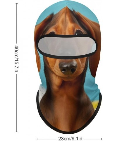 Face Mask Ski Mask Summer Cooling Head Mask Chemistry Lab Sun Protection Neck Gaiter Windproof Face Cover for Outdoor Dachshu...