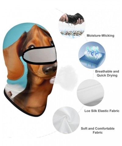 Face Mask Ski Mask Summer Cooling Head Mask Chemistry Lab Sun Protection Neck Gaiter Windproof Face Cover for Outdoor Dachshu...