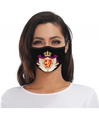 Coat of Arms of Norway Face Mask Washable Reusable Adults Breathable with 2 Filters Black $9.38 Balaclavas