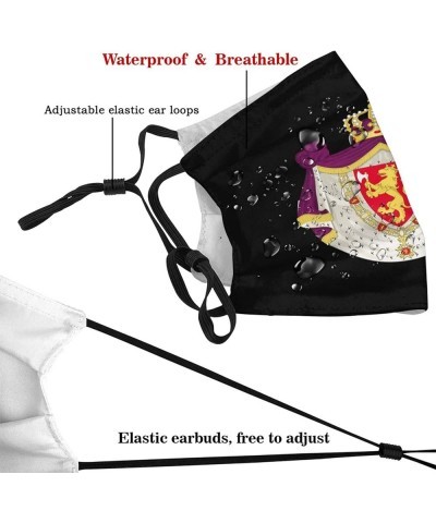 Coat of Arms of Norway Face Mask Washable Reusable Adults Breathable with 2 Filters Black $9.38 Balaclavas