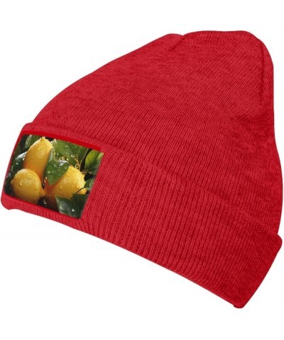 Fresh Lemon Beanie Hats for Women Men Winter Warm Knit Hat Slouchy Skull Cap Knit Cuffed Beanie Red $10.30 Skullies & Beanies