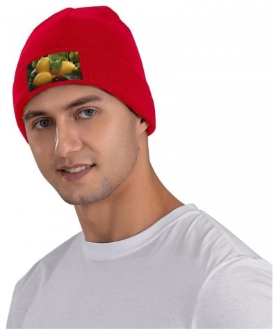 Fresh Lemon Beanie Hats for Women Men Winter Warm Knit Hat Slouchy Skull Cap Knit Cuffed Beanie Red $10.30 Skullies & Beanies