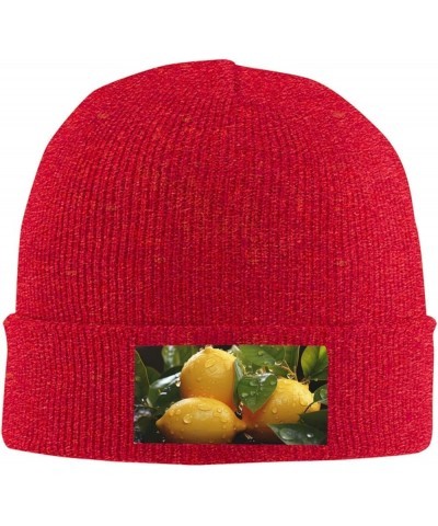 Fresh Lemon Beanie Hats for Women Men Winter Warm Knit Hat Slouchy Skull Cap Knit Cuffed Beanie Red $10.30 Skullies & Beanies