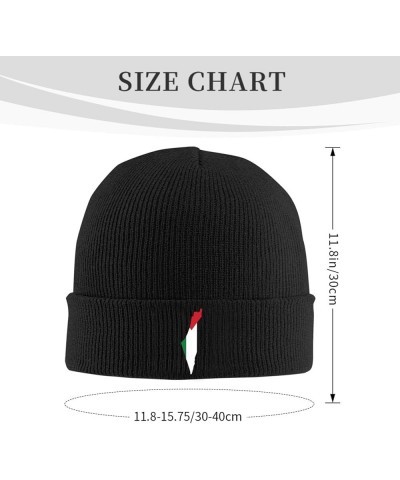 Flag of Palestine Knit Hats Winter Warm Chunky Beanie Hat for Men Women Black $13.30 Skullies & Beanies