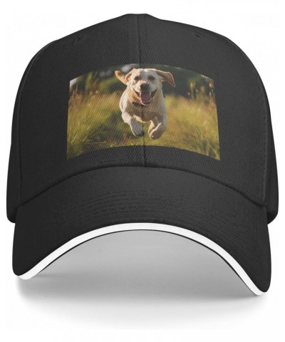 Labrador Retriever Dogs Comfortable Sandwich Bill Cap Perfect for Leisure Black $10.91 Baseball Caps