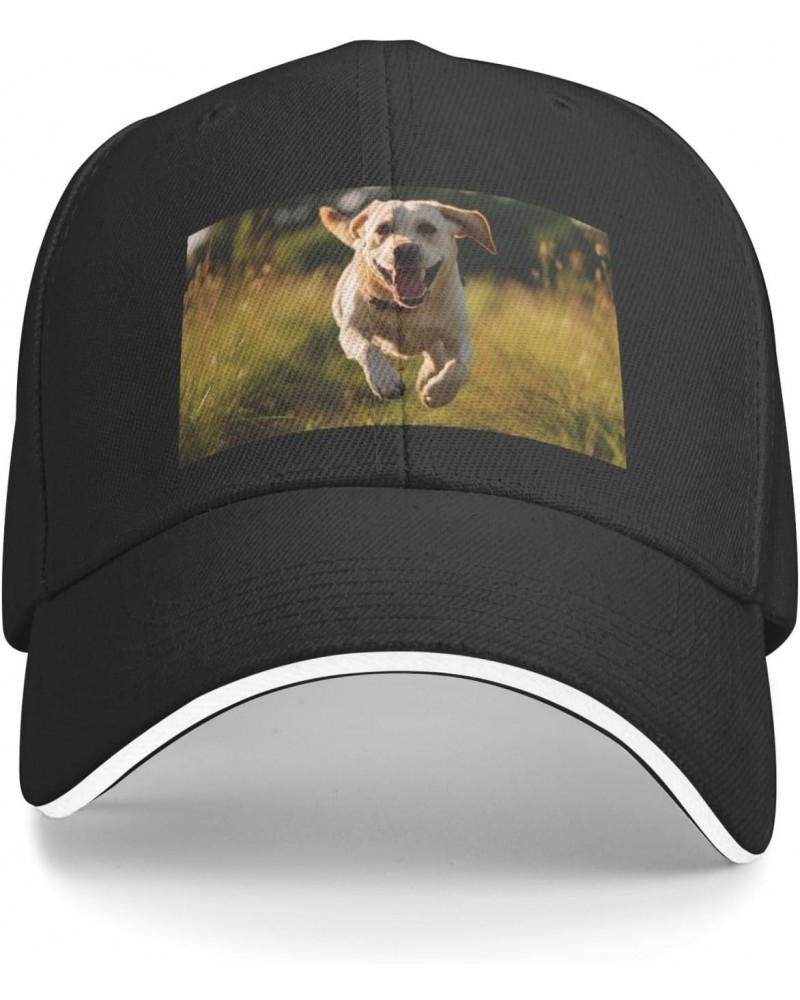 Labrador Retriever Dogs Comfortable Sandwich Bill Cap Perfect for Leisure Black $10.91 Baseball Caps