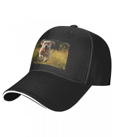 Labrador Retriever Dogs Comfortable Sandwich Bill Cap Perfect for Leisure Black $10.91 Baseball Caps