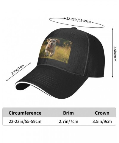 Labrador Retriever Dogs Comfortable Sandwich Bill Cap Perfect for Leisure Black $10.91 Baseball Caps