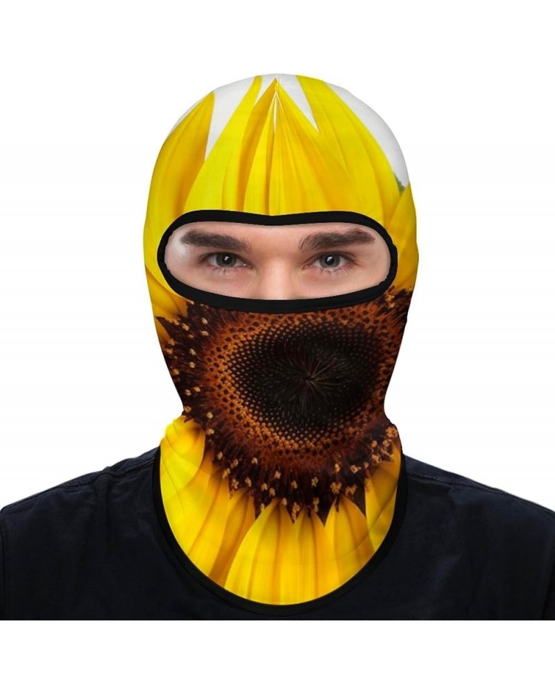 Face Mask Ski Mask Summer Cooling Head Mask Chemistry Lab Sun Protection Neck Gaiter Windproof Face Cover for Outdoor Flower ...