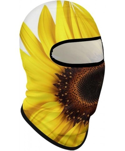 Face Mask Ski Mask Summer Cooling Head Mask Chemistry Lab Sun Protection Neck Gaiter Windproof Face Cover for Outdoor Flower ...