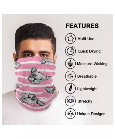 Bandana Headband Balaclavas Headwear Cute Dogs Striped for Sports Outdoor Neck Face Wrap Scarf $10.06 Balaclavas