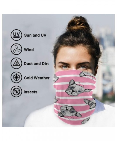 Bandana Headband Balaclavas Headwear Cute Dogs Striped for Sports Outdoor Neck Face Wrap Scarf $10.06 Balaclavas