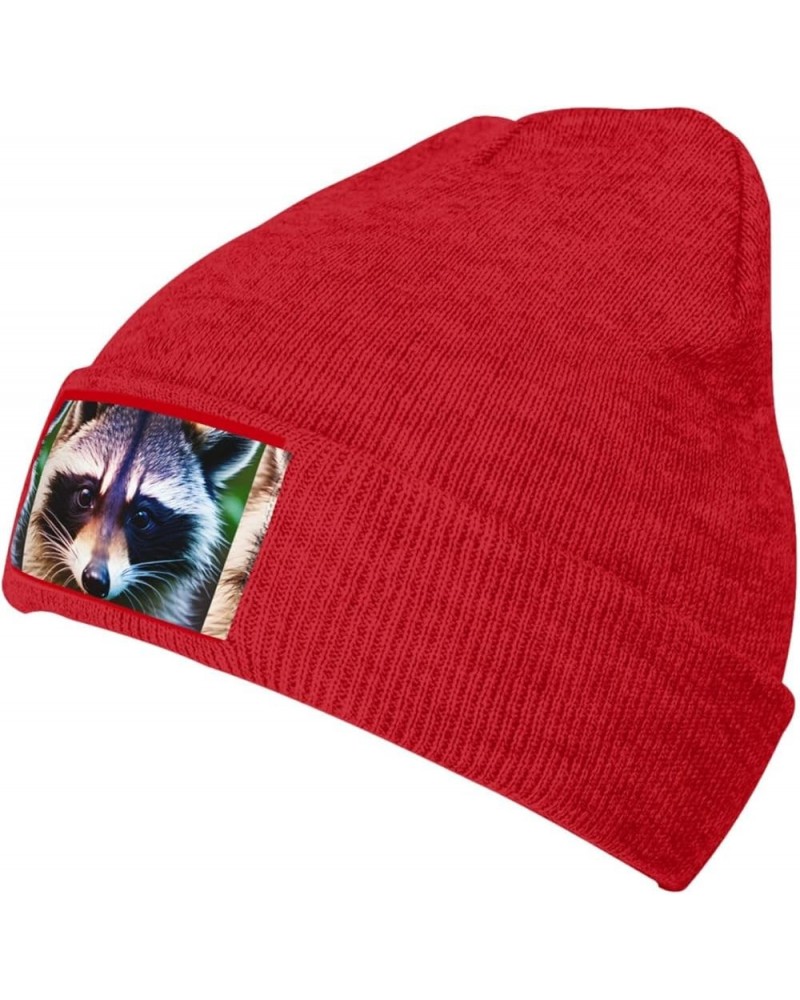 Cute Raccoon 1 Print Knitted Hat Gift Unisex Winter Warm Hat, Outdoor Or Daily Wear,Adults & Kids Hat Red $12.86 Skullies & B...