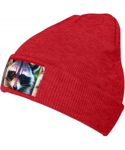 Cute Raccoon 1 Print Knitted Hat Gift Unisex Winter Warm Hat, Outdoor Or Daily Wear,Adults & Kids Hat Red $12.86 Skullies & B...