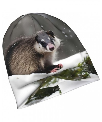 Opossum in Snow Stylish & Comfortable Knit Hat with Brim - Perfect Winter Wear for Men & Women â€" Ideal Gift for Cold Weathe...