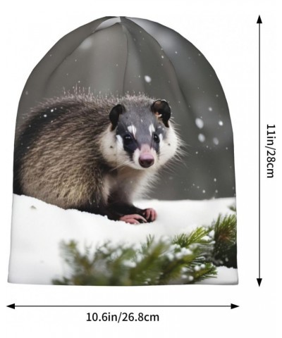 Opossum in Snow Stylish & Comfortable Knit Hat with Brim - Perfect Winter Wear for Men & Women â€" Ideal Gift for Cold Weathe...