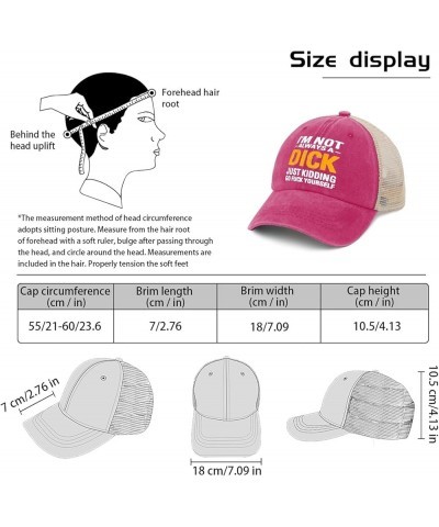 Hat Men Humor Tennis Hats for Mens AllBlack Cycling Cap Fashionable for Flight Attendant Pink $10.98 Baseball Caps